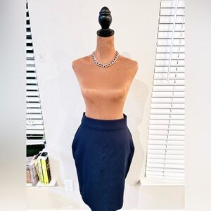 Elegant Navy Blue Women's Skirt